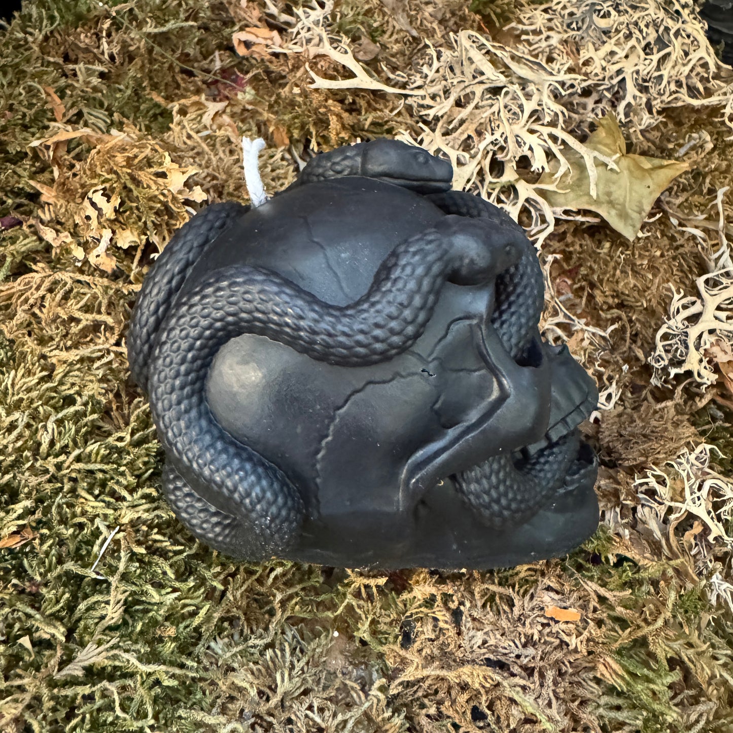 Skull and Snake Shaped Candle