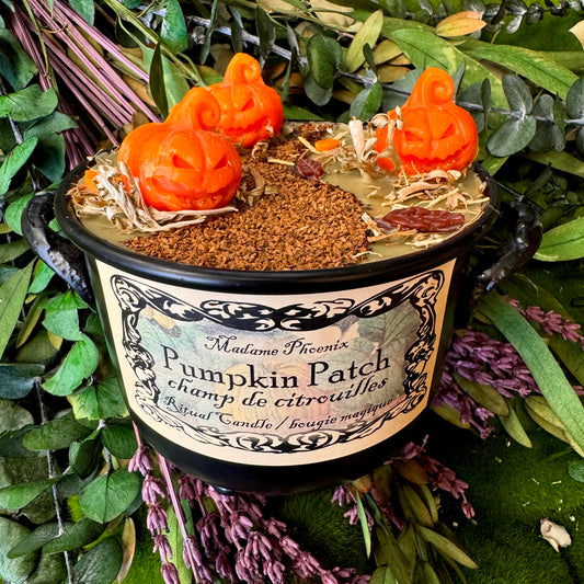 Pumpkin Patch Harvest Abundance Cauldron Candle