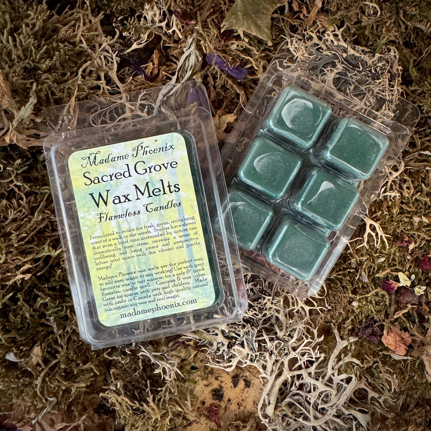 Wax Melt Mini Spell Packs (ENSEMBLE COMPLET)