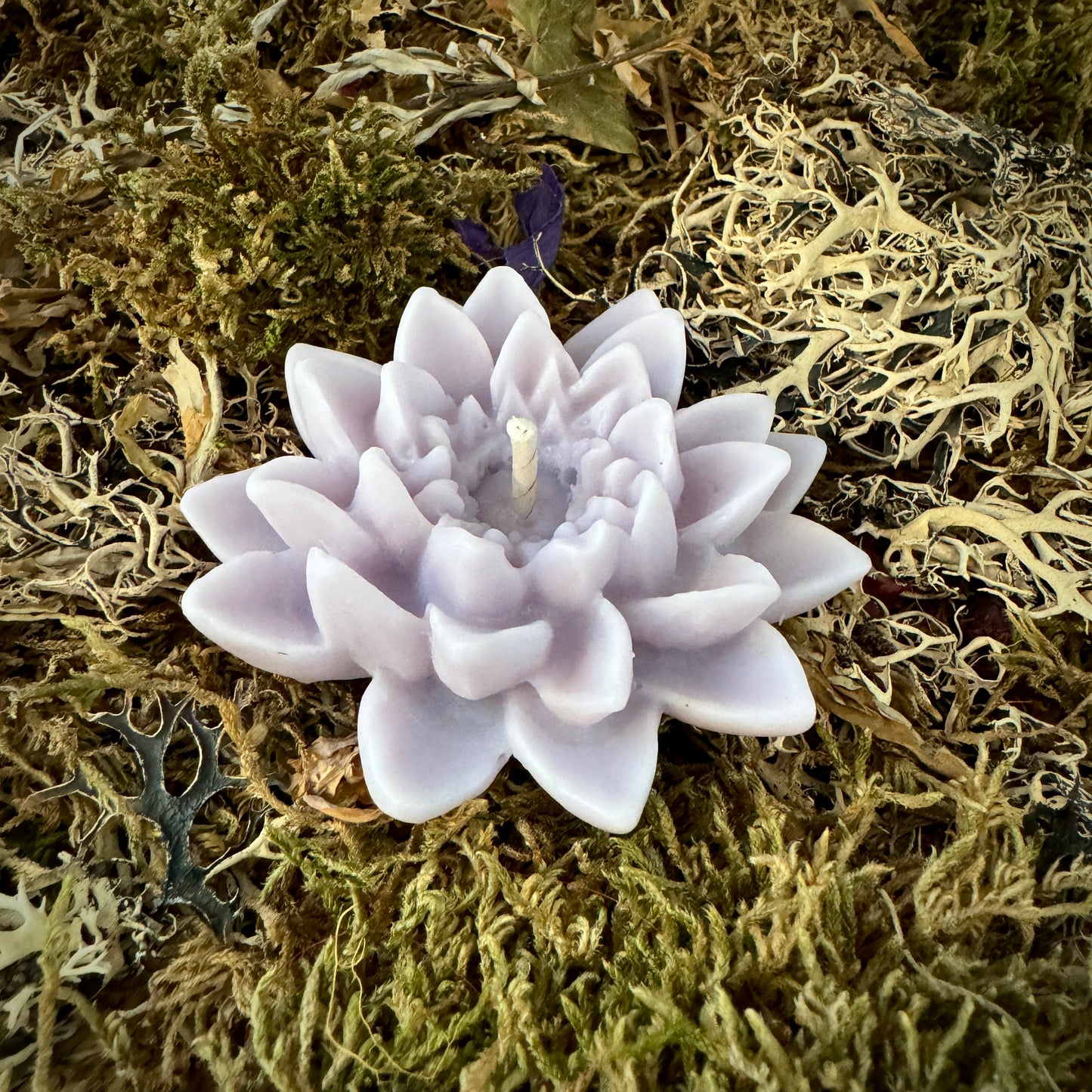 Bougies à la fleur de lotus pour les amoureux de l’eau !