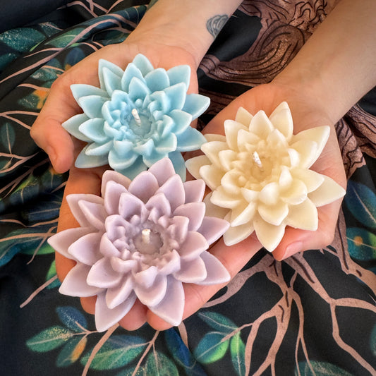 Bougies à la fleur de lotus pour les amoureux de l’eau !