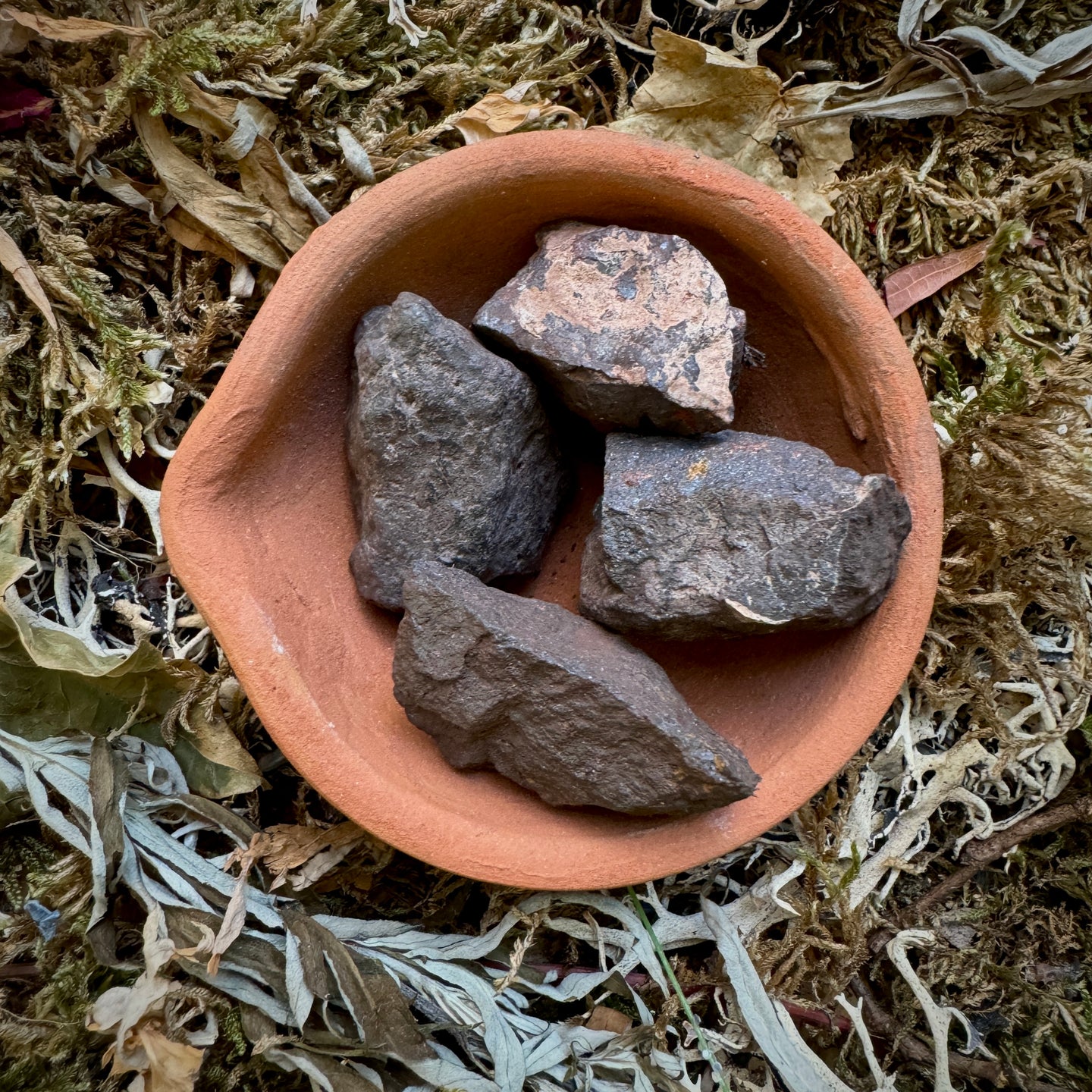 Magnétites