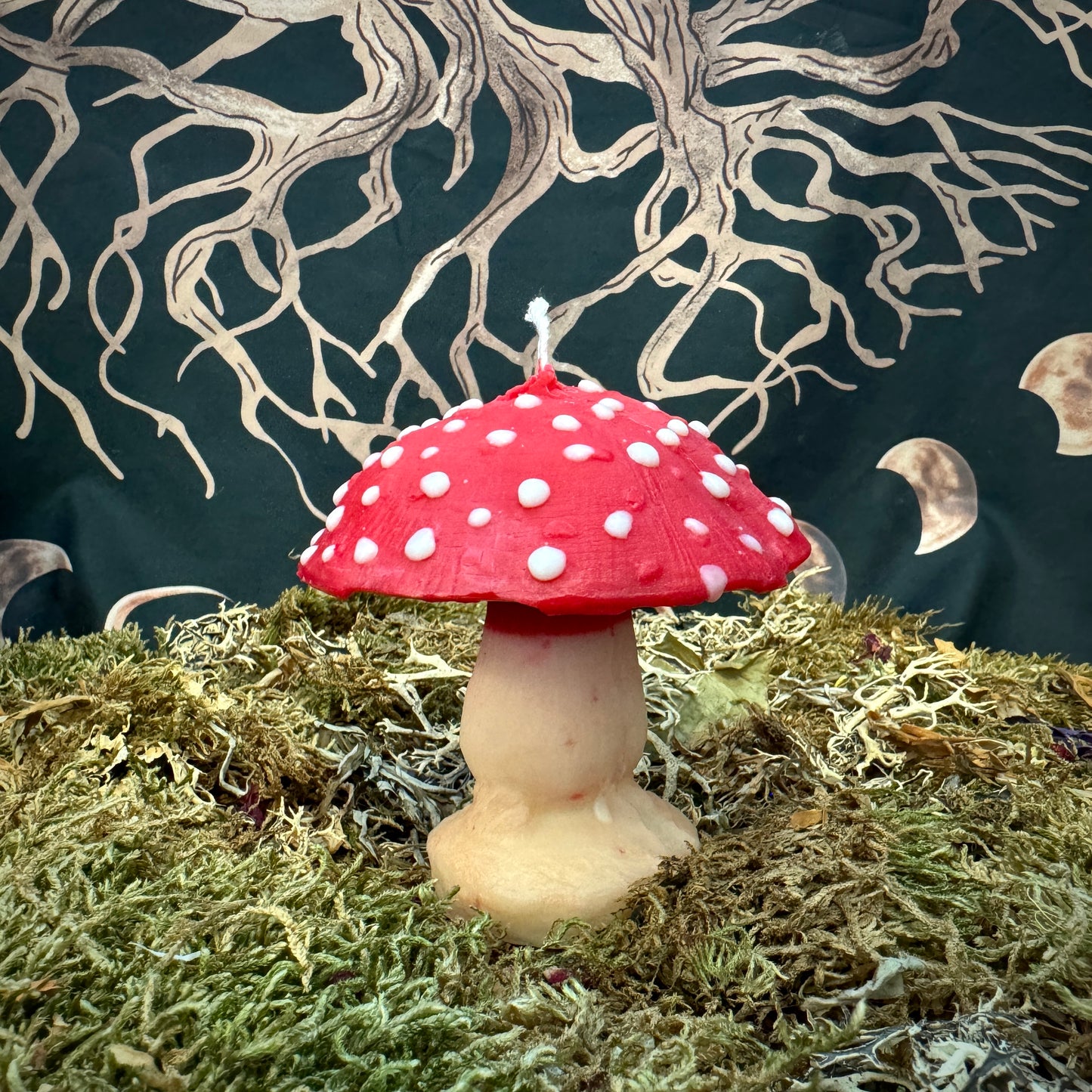 Bougie Champignon