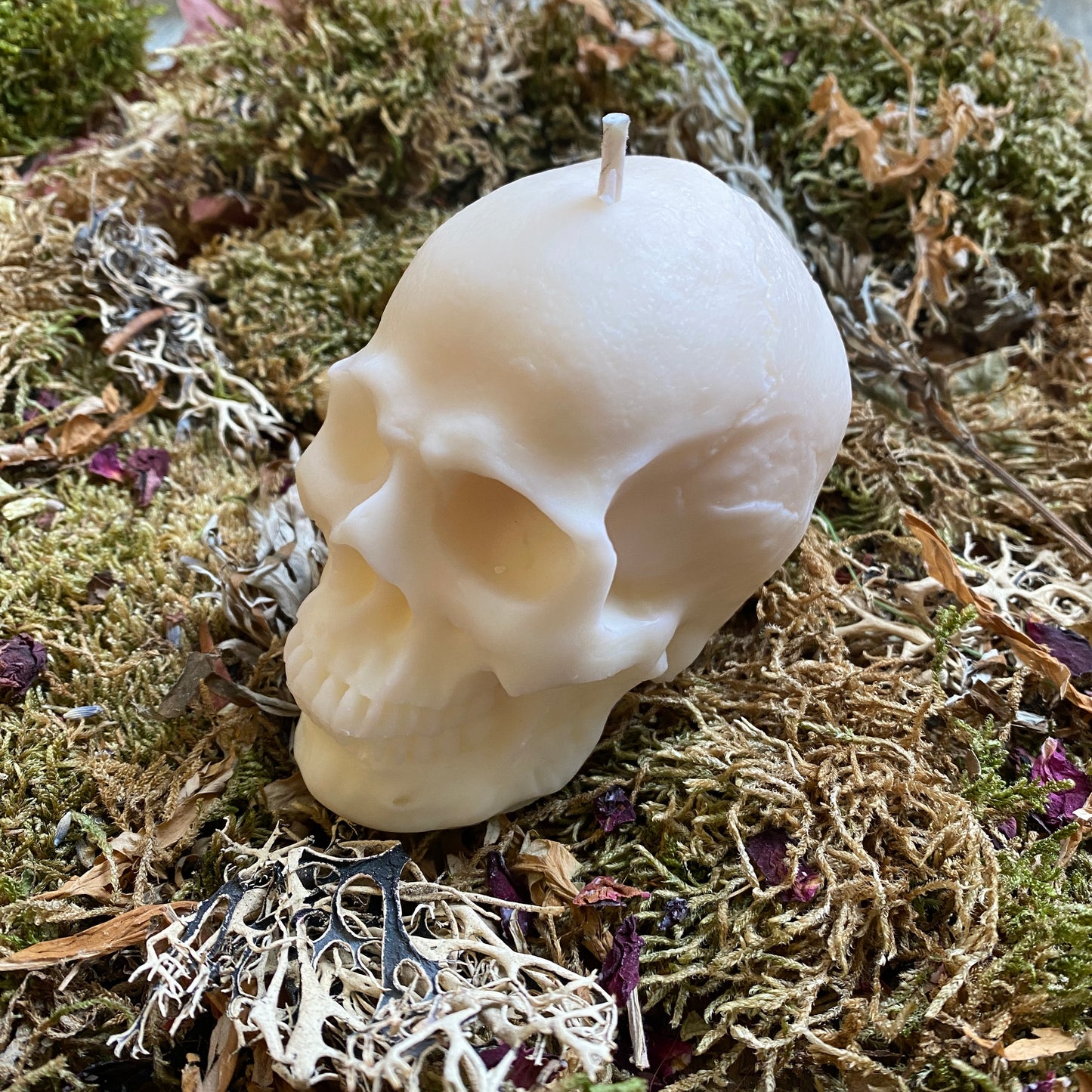 Skull Shaped Candle