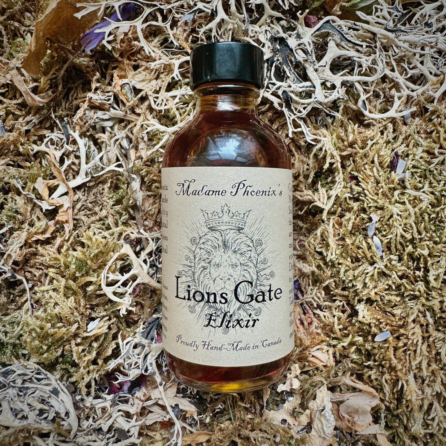 Lions Gate Portal Elixir