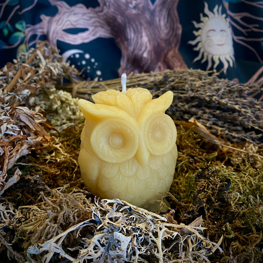 Beeswax Owl Shaped Candle