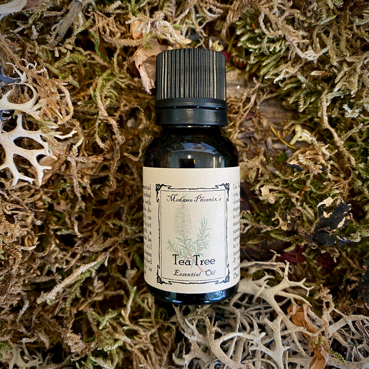 Winterssentials Oils Set