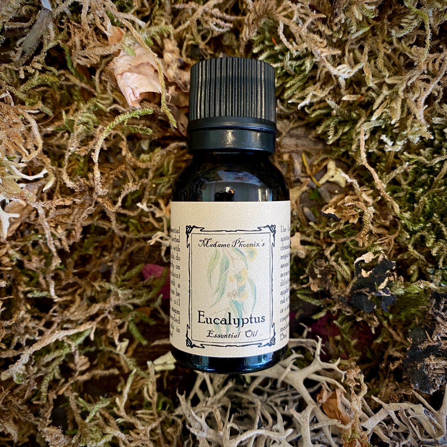 Winterssentials Oils Set