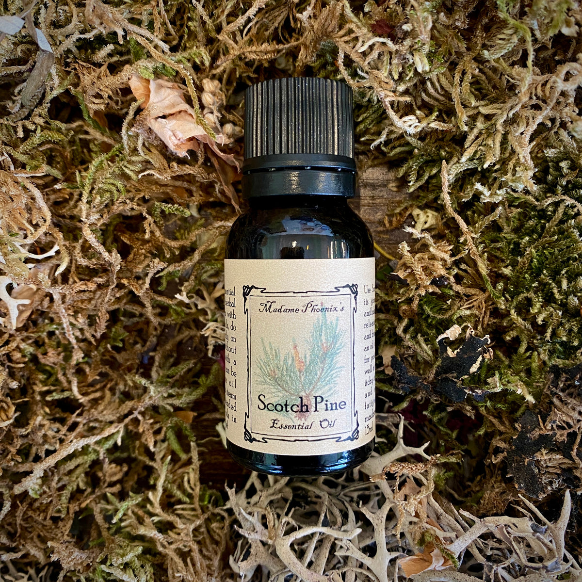 Winterssentials Oils Set