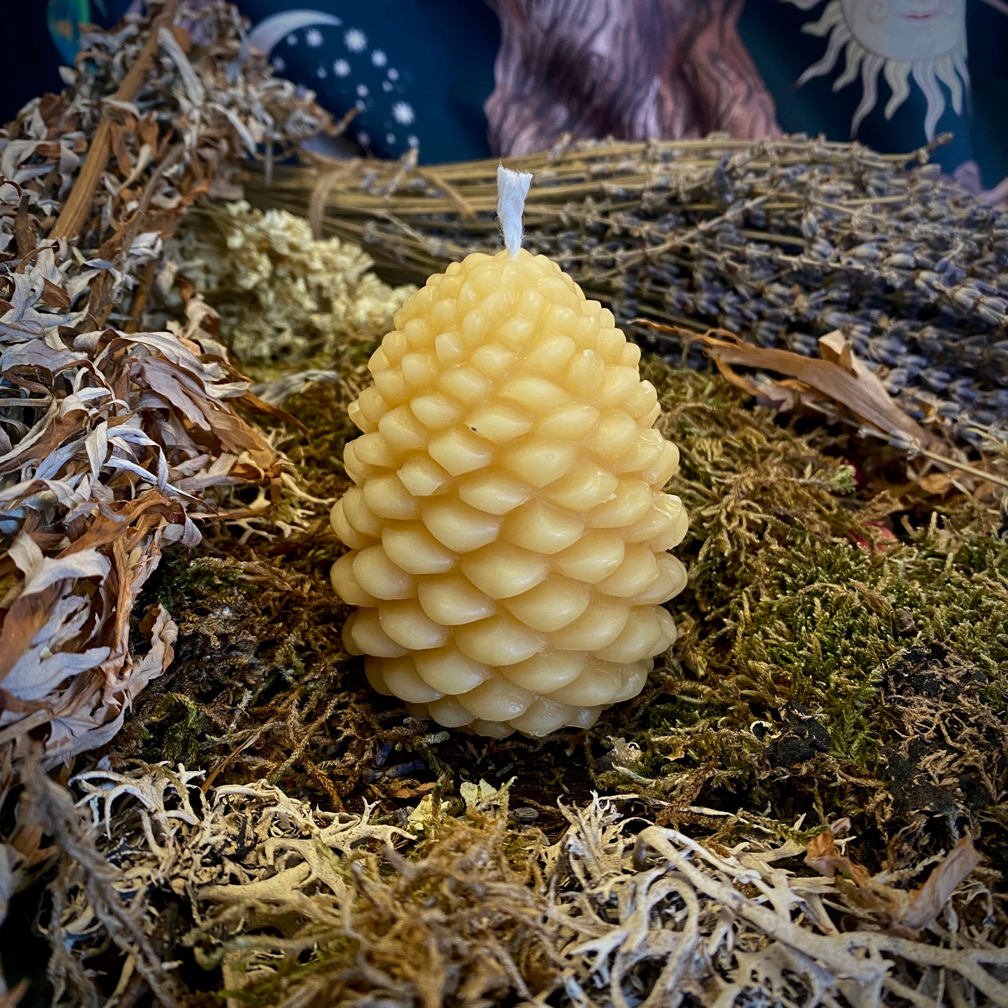 Bougie pomme de pin en cire d’abeille
