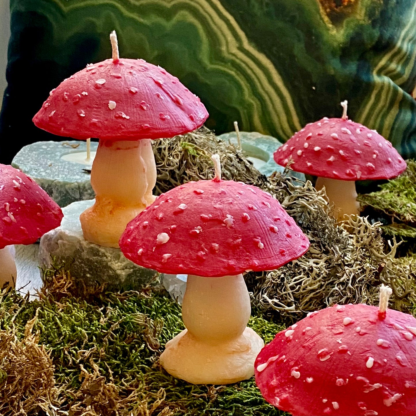 Bougie Champignon