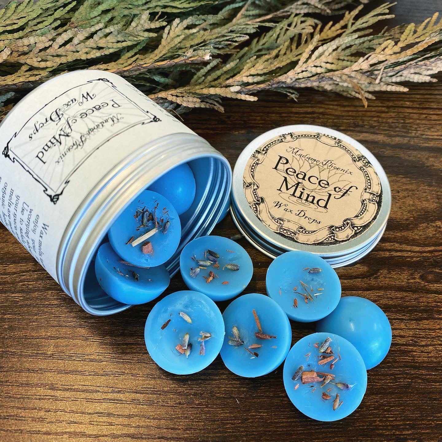 Wax Drop Mini Magic Spell Melters