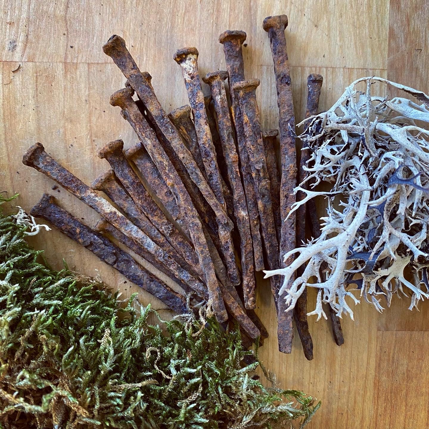 Antique Iron Coffin Nails