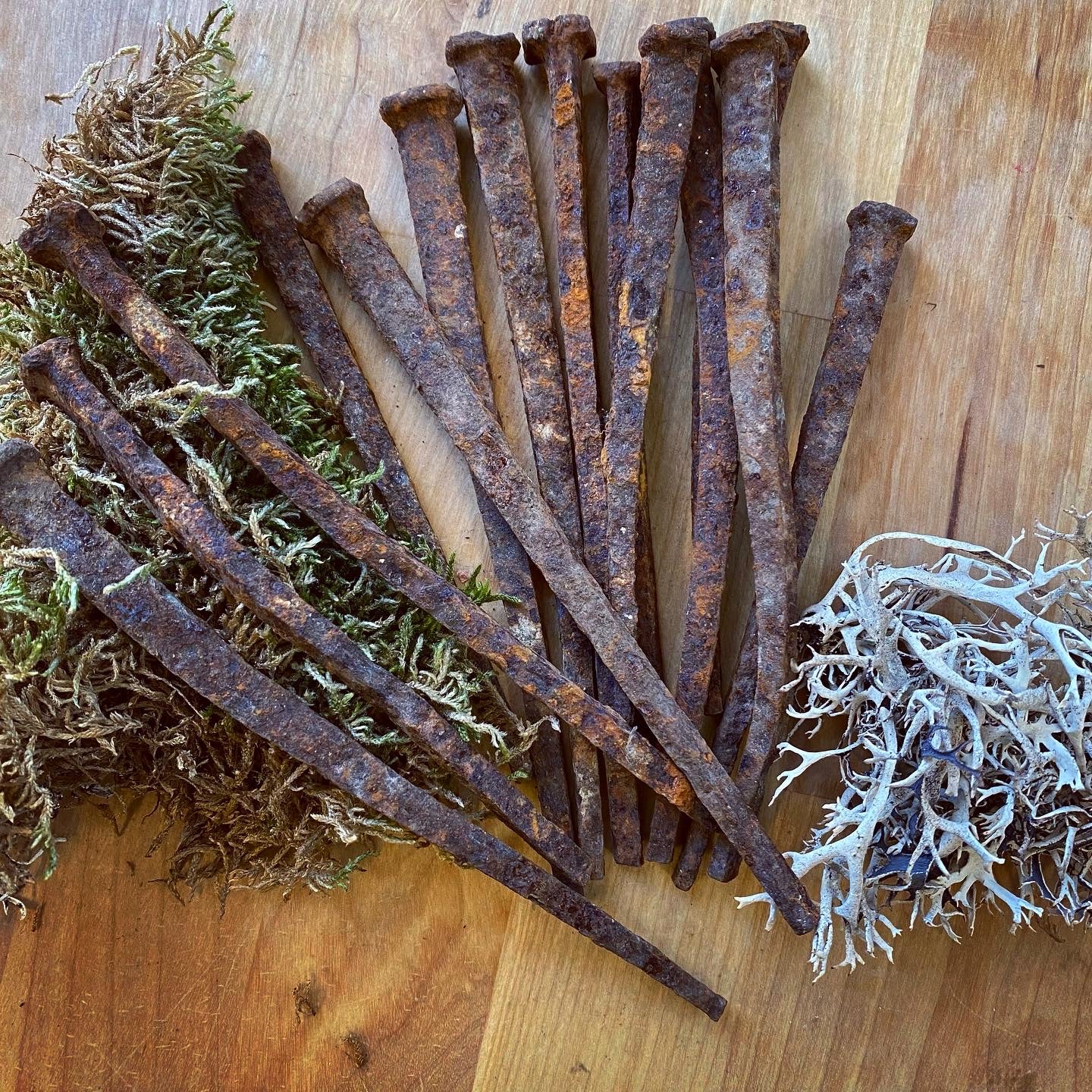 Antique Iron Coffin Nails